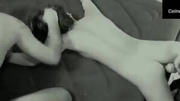 Hairy pussy gets destroyed by a dog