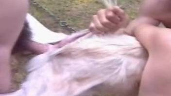 Intimate pounding with a hot pale mare