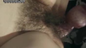 Bushy vagina mature lady screwing a feral dog