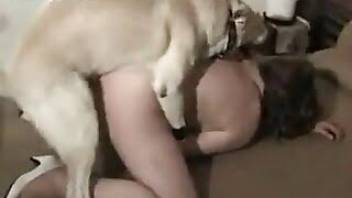White dog fucking a wet-pussied zoophile