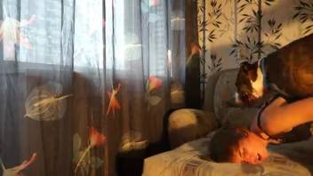Canine penetrates Russian female on sofa. Complimentary zoophilia and beast sex videos