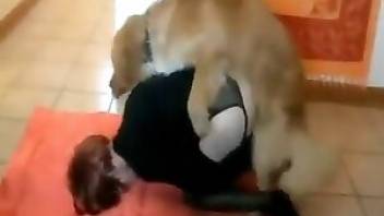 Girl and dog sex unfolding on the floor. Free bestiality and animal porn
