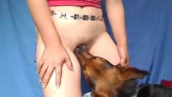 Exclusively the finest canine intercourse clips. Complimentary zoophilia and beast erotica