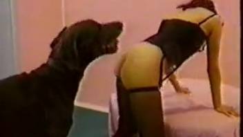 Canine rear entry intercourse - vintage zoophilia adult film. Gratis animal sex and beast erotica