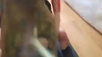 Free bestiality in doggy position