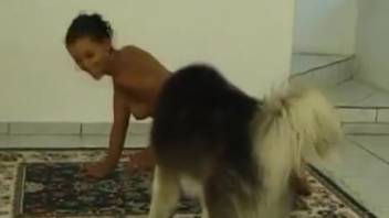 Steamy adult film with intense bestiality action