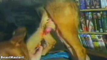 Animal sex film with sexy chicks who bang
