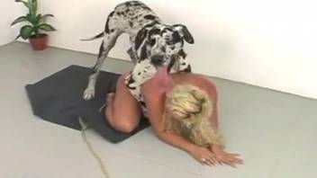 Blond babe banged by a hunky monster