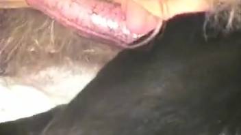 Amazing zoophilia adventure with a pup