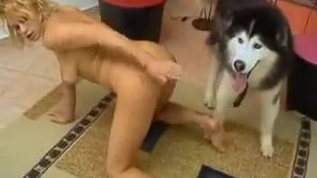 Bestiality video clip featuring intensely steamy scenes
