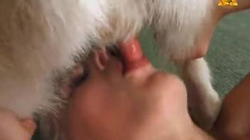 Animal sex with girls in a hot video in HQ