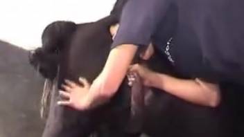 Adorable girl loves blowing a horse's cock