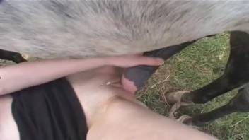 Massive horse dick stretching for a promiscuous woman