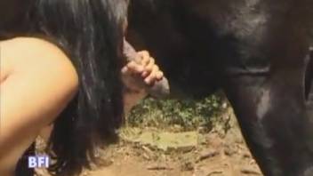 Extreme bestiality whore being slammed hard