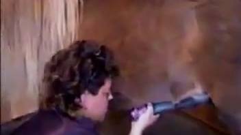 Mare vaginas drip semen after animal intercourse