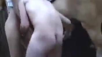 Taught to screw, female horse bangs with