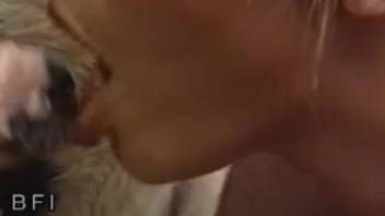 Stallion ejaculates in girl's mouth and it's steamy