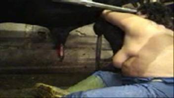 Equine erotica featuring a plump mature woman. Complimentary zoophilia and beast sex videos
