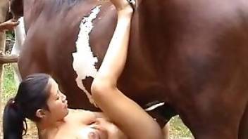 Sexy porn scene with horse fucking