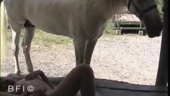 Female screwing equine through oral sex on the creature
