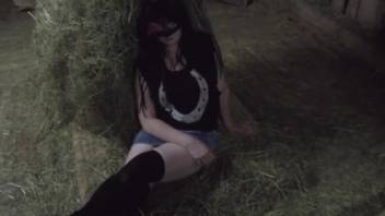 Steamy horse bestiality film featuring intense passion
