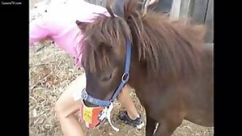 WOman fucks horse in her sexy sneakers