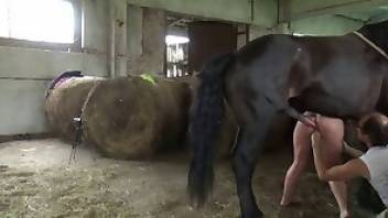 Woman fucks horse after a nice HJ
