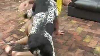 Homosexual bestiality enthusiast penetrated by a canine in the open air