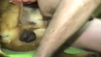 Furry-ass guy banged in dude-animal sex clip