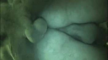 Homosexual beastiality featuring intense anal action. Complimentary zoophilia and creature erotica