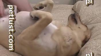 Guy's bestiality romp with a hot pup