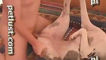 Dude dominates a dog's wet little hole