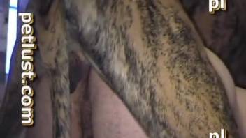 Man's narrow asshole demolished by a dog