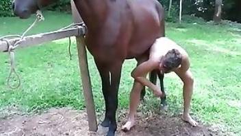 Gay horse sex with a sloppy BJ. Free bestiality and animal porn