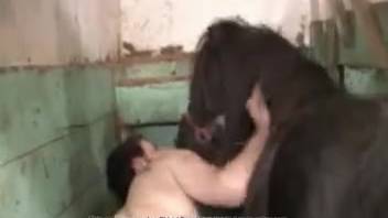 Homosexual zoophilia featuring stretched anus. Complimentary animal sex and beast porn