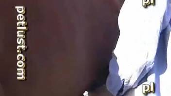 Massive horse-sized dick in a rubbing porn clip