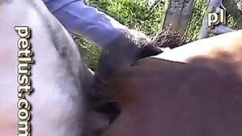 Pale-assed dude fucking a kinky horse