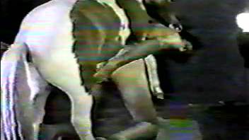 Black and white adult video featuring massive horse dick