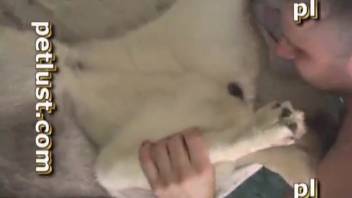 Gay bestiality featuring a white pup enjoying pleasant intercourse