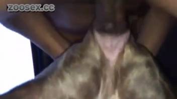 Attractive man screws his female dog doggy-style on webcam