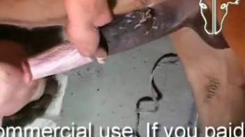 Guy performs deepthroat on a massive sexual beast