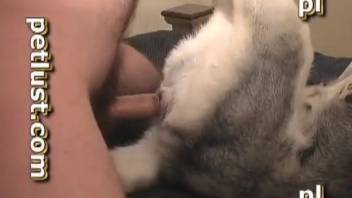 Canine copulation video featuring a well-endowed guy