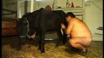 Bestiality film featuring an obese guy
