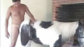 Man fucking mare in a hot video