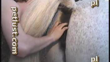 Female horse vagina stretched in animal sex video