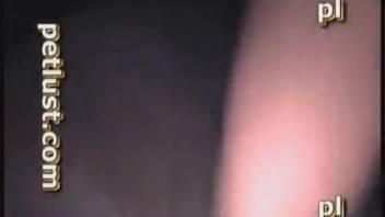Guy screwing a wild cunt in close-up