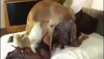 Herdsman bangs aroused tramp quite swiftly