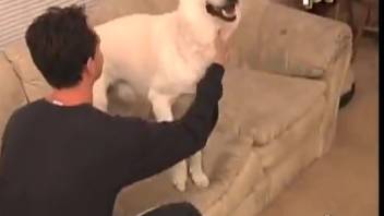 Pale canine bangs dude in the butt in beast zoo erotica